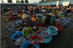 Nét quê ở chợ phường Vị Thanh (Cần Thơ)