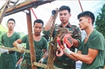 Tiếp nối hành trình tri ân các anh hùng liệt sĩ
