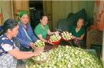 OCOP đã có thương hiệu, vì sao nông sản vẫn lo đầu ra?