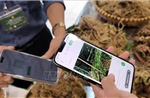 'Số hóa' để định vị thương hiệu cao cấp cho sâm Ngọc Linh