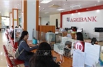Loạt ngân hàng tung gói tín dụng ưu đãi, tiếp sức doanh nghiệp nhỏ và vừa