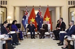 Tổng Bí thư, Chủ tịch nước Tô Lâm hội kiến Toàn quyền Australia