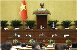 Thông cáo báo chí số 11, Kỳ họp không thường lệ thứ Nhất, Quốc hội khóa XVI