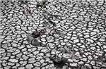 Malaysia đối mặt nguy cơ El Nino cường độ mạnh gây khô hạn và khói bụi