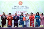 Phát huy vai trò nòng cốt của đại biểu Quốc hội chuyên trách ở địa phương