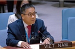Việt Nam thúc đẩy nâng cao hiệu quả hoạt động của HĐBA LHQ