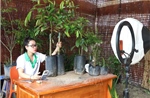 Mở rộng đầu ra nông sản nền tảng thương mại điện tử