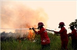 Indonesia bắt hơn 70 đối tượng và điều tra các doanh nghiệp nghi cố ý gây cháy