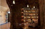 Độc đáo thư viện trong hố sụt tự nhiên tại Trung Quốc