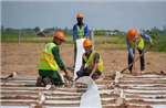 Thi công xuyên lễ, chạy đua tiến độ cao tốc Châu Đốc - Cần Thơ - Sóc Trăng