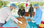 Tận dụng mọi phương thức tìm kiếm, quy tập và xác định danh tính hài cốt liệt sĩ