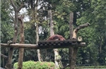 Indonesia: Bảo tồn đa dạng sinh học gắn với cộng đồng và sinh kế