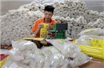 Nghị quyết 57-NQ/TW: Cơ hội tiếp cận khách hàng mới cho hợp tác xã