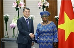 WTO tiếp tục đồng hành, hỗ trợ Việt Nam trong tiến trình hội nhập kinh tế quốc tế