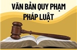 Người đứng đầu có thể bị truy cứu trách nhiệm hình sự nếu ban hành văn bản trái pháp luật