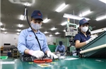 Giải ngân 11,72 tỷ USD vốn FDI trong 6 tháng 2025, cao nhất 5 năm qua