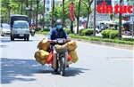 Nắng nóng oi bức ở Bắc Bộ khả năng dịu dần từ 5/8
