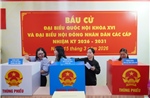 Những điều cử tri cần lưu ý khi tham gia bỏ phiếu