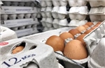 Dịch cúm gia cầm gây thiếu hụt trứng gà tại Australia
