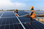 EVN công khai về tình hình thủ tục các dự án năng lượng tái tạo chuyển tiếp