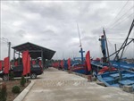 Bình Định công bố cảng cá loại 2 Tam Quan