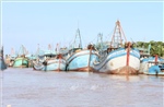 Khắc phục &#39;thẻ vàng&#39; IUU: Giám sát chặt chẽ tàu cá thuộc diện nguy cơ cao