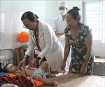 Vĩnh Long: Chủ động phòng, chống bệnh sốt xuất huyết