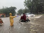 Hà Nội: Mưa lớn gây ngập, cây đổ đè bẹp ô tô