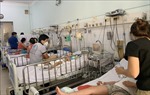 TP Hồ Chí Minh: Số ca mắc sốt xuất huyết liên tục tăng nhanh