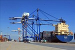 Bộ GTVT lên tiếng về đề nghị của Hải Phòng thành lập Ban quản lý khai thác cảng biển