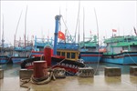 Ngư dân Bình Định hối hả vươn khơi khai thác hải sản sau bão Noru