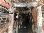 Hiểm họa từ những hầm vàng không phép ở Đắk Nông