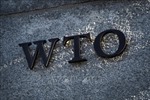 Nga không có kế hoạch rút khỏi WTO 