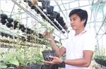 Khởi nghiệp từ niềm đam mê vẻ đẹp các loài hoa