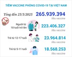 Tình hình tiêm vaccine phòng COVID-19 tại Việt Nam tính đến hết ngày 23/3/2023