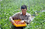 Truyền cảm hứng cho nhiều thanh niên phát triển kinh tế