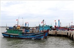 Giám sát, truy xuất nguồn gốc thủy sản tại cảng cá