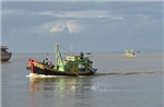 Khắc phục &#39;thẻ vàng&#39; IUU: Bình Thuận giám sát đặc biệt hơn 170 tàu cá