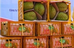 Nông sản Việt đón thêm cơ hội xuất khẩu  