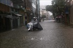 Nam Định chủ động ứng phó với mưa lớn kéo dài