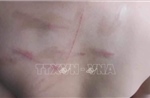 Tạm đình chỉ công tác cô giáo dùng roi tre đánh học trò vì không làm bài tập