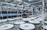 Indonesia kết luận cuối cùng về điều tra tự vệ sợi bông nhập khẩu