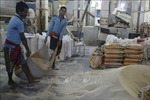 Giá gạo Ấn Độ giảm vì phí vận chuyển tăng vọt