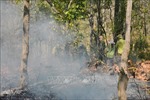 Đắk Lắk: Thực hiện biện pháp cấp bách phòng cháy, chữa cháy rừng