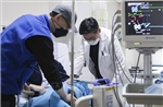 Hàn Quốc: Các giáo sư y khoa bắt đầu giảm giờ làm việc 