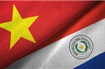 30 năm quan hệ Việt Nam - Paraguay: Tiềm năng lớn thúc đẩy hợp tác song phương
