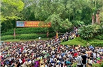 Du khách thăm, dâng hương tại Đền Hùng trong tiết trời dịu mát