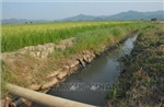 Vụ nghiệm thu &#39;khống&#39; công trình thủy lợi ở Đắk Lắk: Con voi suýt chui lọt lỗ kim