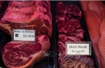 Mỹ: Xét nghiệm virus cúm gia cầm H5N1 trong mẫu thịt bò xay