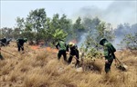 Quảng Bình: Tăng cường phòng, chống cháy rừng